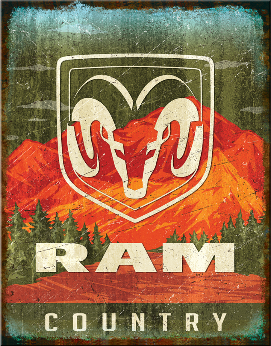 ƥ  RAM Country DE-MS2838