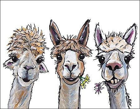 ƥ  Alpaca Trio DE-MS2416ƥ  Alpaca Trio DE-MS2416