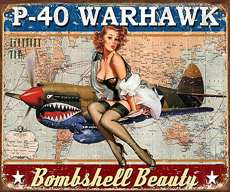 ƥ  Warhawk DE-MS2460ƥ  Warhawk DE-MS2460