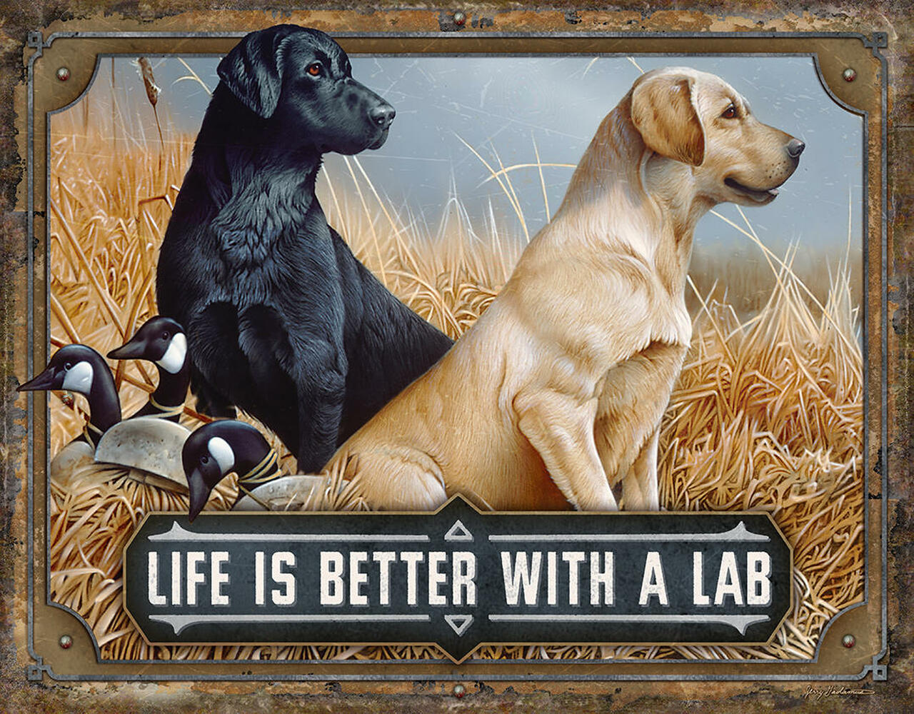 ƥ  Better with a lab DE-MS2568ƥ  Better with a lab DE-MS2568