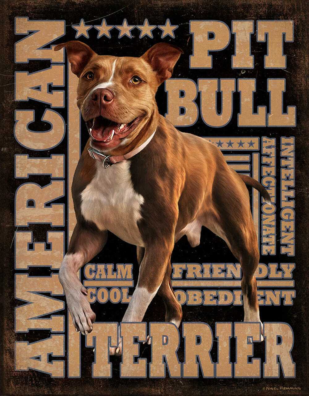 ƥ  American Pitbull DE-MS2574ƥ  American Pitbull DE-MS2574