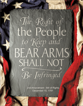 ƥ  2nd Amendment Right DE-MS2364ƥ  2nd Amendment Right DE-MS2364