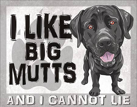 ƥ  BIG MUTTS DE-MS2209ƥ  BIG MUTTS DE-MS2209