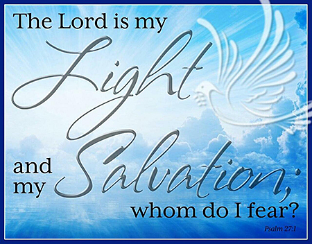 ƥ  Light  Salvation DE-MS2437ƥ  Light  Salvation DE-MS2437