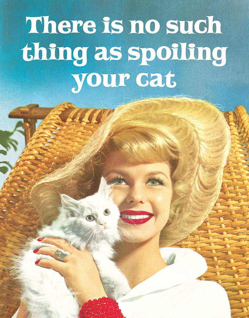 ƥ  Spoiling Cat DE-MS2610ƥ  Spoiling Cat DE-MS2610