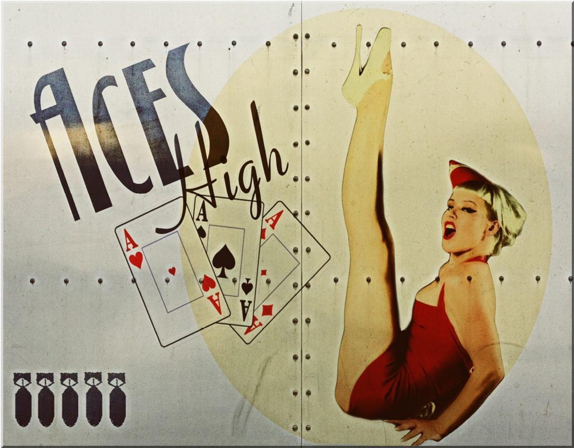 ƥ  Aces High DE-MS2756