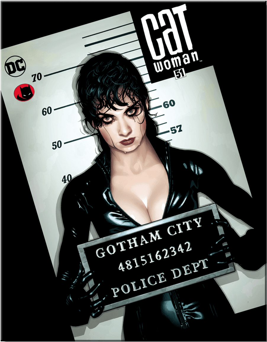 ƥ  DC - Cat Woman DE-MS2916