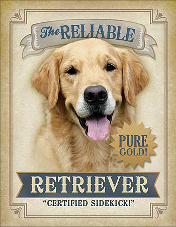 ƥ  Reliable Retriever DE-MS2262ƥ  Reliable Retriever DE-MS2262