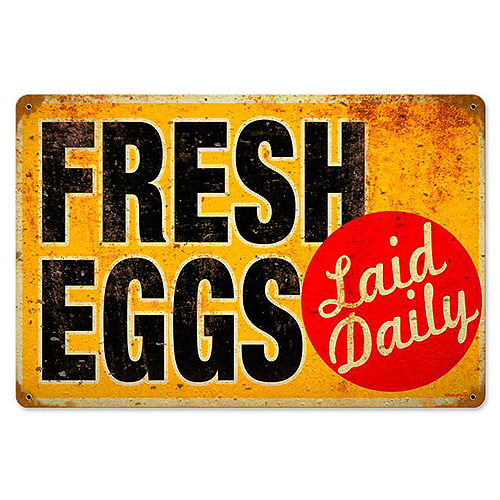 ƥ  Eggs Laid Daily PT-RPC-077ƥ  Eggs Laid Daily PT-RPC-077