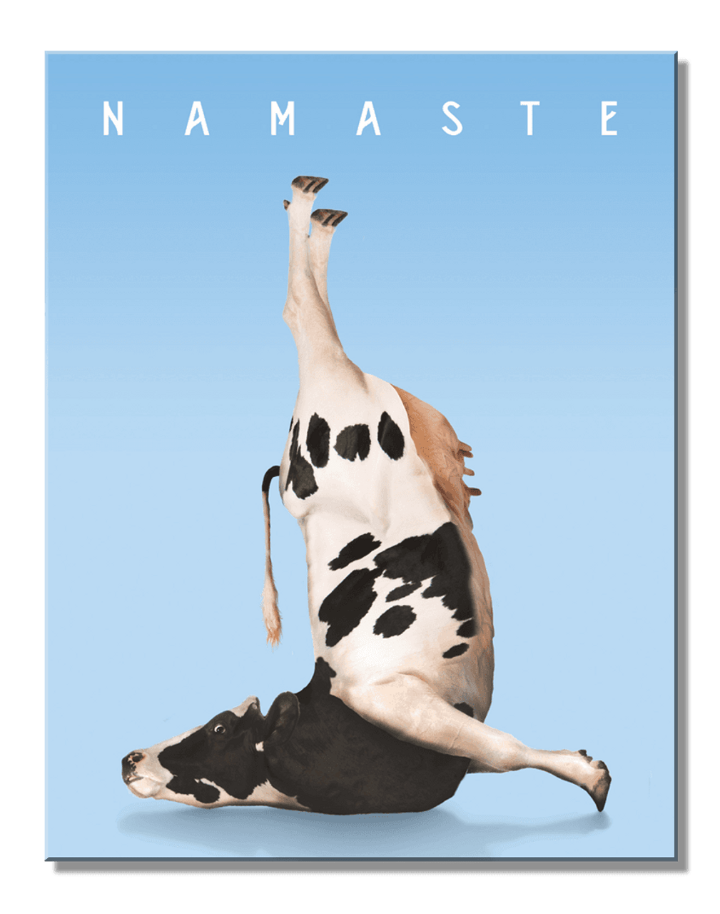ƥ  YOGA COW DE-MS2943ƥ  YOGA COW DE-MS2943