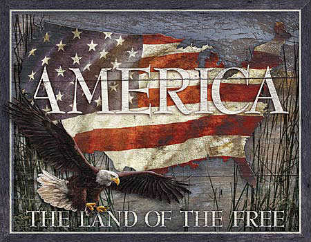 ƥ  AMERICA-LAND OF FREE DE-MS2159ƥ  AMERICA-LAND OF FREE DE-MS2159