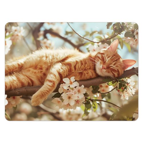 ʡ ޥåȡ䡡CAT-2ʡ ޥåȡ䡡CAT-2