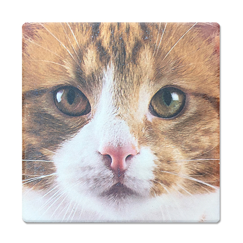 ߥå  COA0371ߥå  COA0371