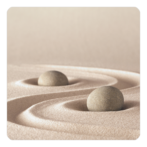 SAKEޥåȡ䡡ZEN-1SAKEޥåȡ䡡ZEN-1
