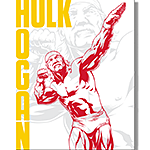 ƥ  WWE - Hulk Hogan DE-MS2894