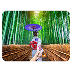 ʡ ޥåȡ䡡Ԥӡʪ-1