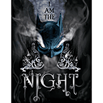 ƥ  DC - Batman - Night DE-MS2915