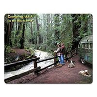 ƥ  Camping Usa 1949 PT-LG-446