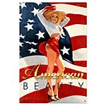 ƥ  Greg Hildebrandt American Beauty PT-HB-035