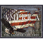 ƥ  AMERICA-LAND OF FREE DE-MS2159