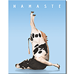ƥ  YOGA COW DE-MS2943