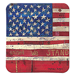 ƥå UNITED WE STAND SJT-ST-SS00288