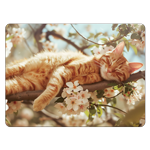 ʡ ޥåȡ䡡CAT-2
